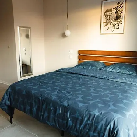 Tatil Evi Maison Muguet 3 Spa-parking-colmar Wickerschwihr