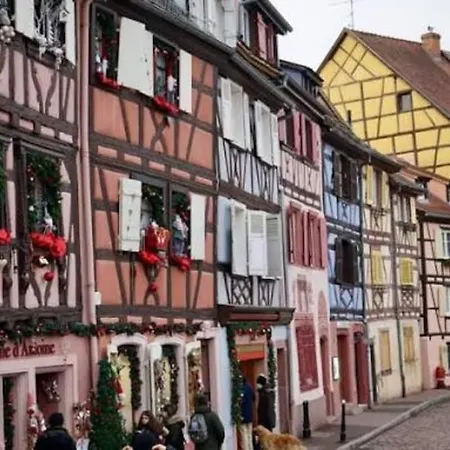 Tatil Evi Maison Muguet 3 Spa-parking-colmar Wickerschwihr